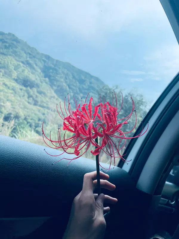 用户封面
